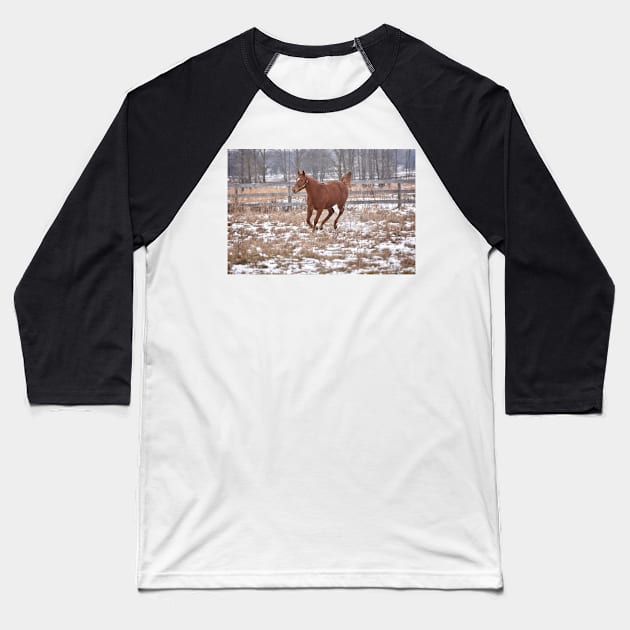 Palace Malice filly Baseball T-Shirt by theartsyeq